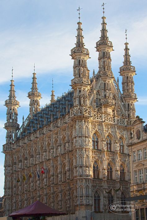 European Buildings Architecture, Europe Building Architecture, Famous Cathedrals, Famous Gothic Architecture, Leuven Belgium, European Churches Architecture, Cathedral Architecture, Gothic Cathedrals, European Architecture