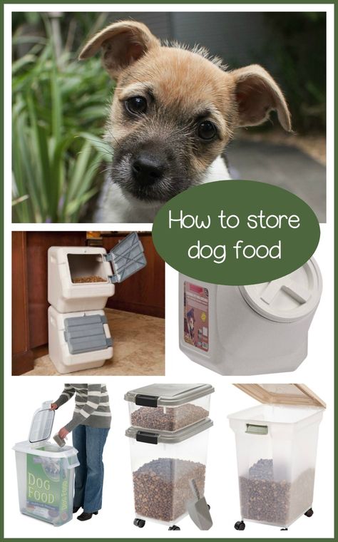 Many people wonder how to store dog food. The main thing is to keep it somewhere safe from outside elements as well as various vermin and pests. How To Store Dog Food, Storing Dog Food, Pet Tricks, Fuzzy Animals, Smartest Dog Breeds, Dog Health Tips, Pampered Pooch, Dog Store, Best Dog Food