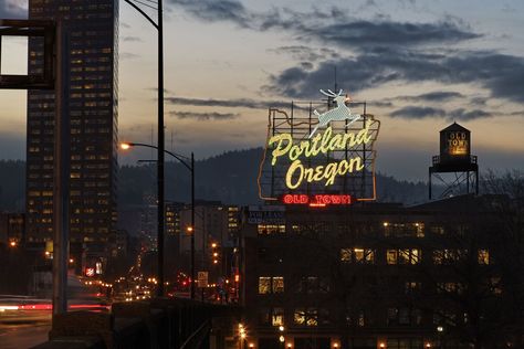 From downtown Portland all the way up to the Portland Aerial Tram, here are the top 11 things to do in Portland, Oregon. Oregon Aesthetic, Portland Skyline, Downtown Portland, Oregon City, Oregon Washington, Willamette Valley, Pacific Coast Highway, Buy Buy Baby, Birds Eye View