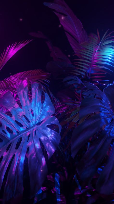 Vertical video Purple and blue neon lights in a dark jungle with tropic plants. Loop animation. Plants And Neon Lights, Neon Plants, Jungle Video, 2023 Vibes, Dark Jungle, Scary Story, Blue Neon Lights, Loop Animation, Neon Jungle