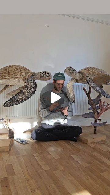 Josh Gluckstein on Instagram: "Happy World Turtle Day! Watch to see how my Turtle sculptures come to life. This is my favourite video I've made so far!   I'm currently working on my largest and most ambitious sculpture yet, and I'm recording the whole process. I'm looking forward to sharing the journey with you all soon...  📦📦📦♻️🐢🪸💚  #WorldTurtleDay #recycledart #cardboardsculpture   #Turtle #coralreef #sustainableartist #fyp #foryoupage #viralreels #catlife #catsofig #artgallery #cardboardart #scubadiving #cardboardcreations #artstudio #instaart #artinspo #art #londonart #natgeotravel #sculptorsofinstagram #wildlifeart #animalart #conservationartist #animalsculpture #interiordesign  #artforsale #seaturtle" Josh Gluckstein, Paper Mache Turtle, Egg Carton Turtle, Turtle Cardboard Sculpture, Turtle Recycled Art, Sea Turtle Sand Sculpture, Cardboard Art Sculpture, Turtle Day, World Turtle Day