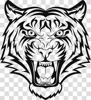 Black And White Tiger Tattoo, Wolf Art Drawing, Tiger Face Drawing, Grey Wolf Tattoo, White Tiger Tattoo, Lion Stencil, Zebra Illustration, Black Cat Illustration, Black And White Lion