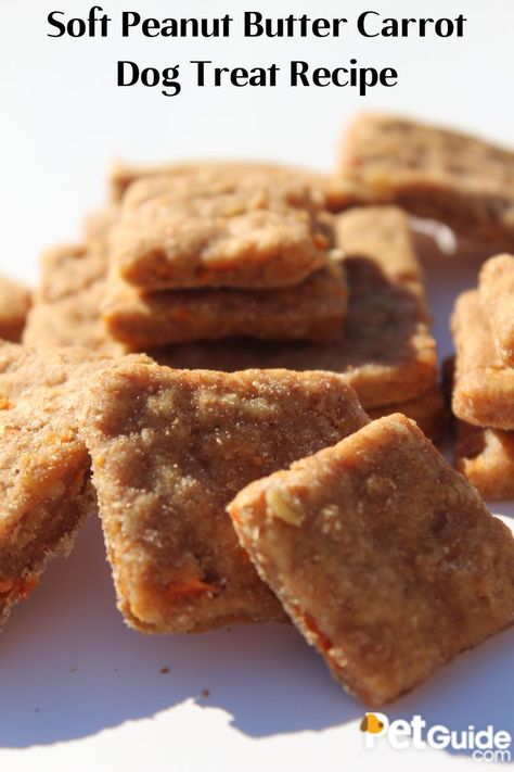 Soft Chew Dog Treat Recipe, Peanut Butter Carrot Dog Treats, Peanut Butter And Carrot Dog Treats, Soft Dog Treats Homemade Peanut Butter, Soft Dog Cookies Recipe Easy, Low Sodium Dog Treats, Soft Puppy Treats Homemade, Soft Dog Treats For Older Dogs, Carrot Dog Treats Recipes