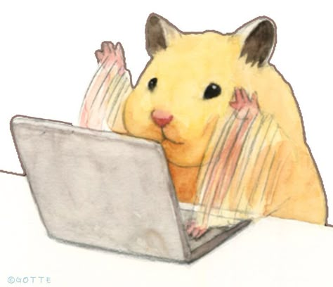 A Drawing, Cat Memes, Laptop, Computer, Screen, On Twitter, Memes, Funny, Twitter