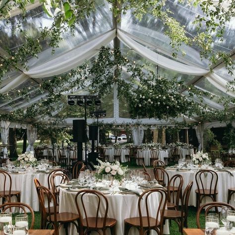 💗�💗 Wedding season is almost here and we are ready for the celebrations! Contact us today and let us help with your special day! https://ntaco.com/contact-us/ #ntaco #smallbusiness #nashvillebusiness #celebration #weddingseason Tent Wedding Fall, Tent Wedding Decorations, Outdoor Gazebo Wedding, Garden Wedding Tent, Wedding Outdoor Decoration, Nikkah Decor, Jackie Taylor, Tent Weddings, Outdoor Tent Wedding