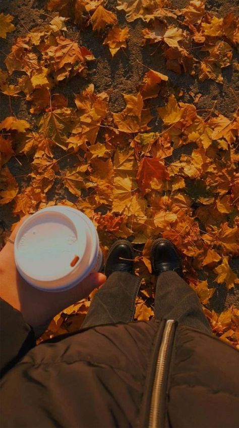 Fall Asthetics, Aesthetic Fall Photos, Son Bahar, Wallpapers Autumn, Autumn Ambience, Fall Aesthetic Pictures, Wallpaper Thanksgiving, Boots Selfie, Autumn Collage