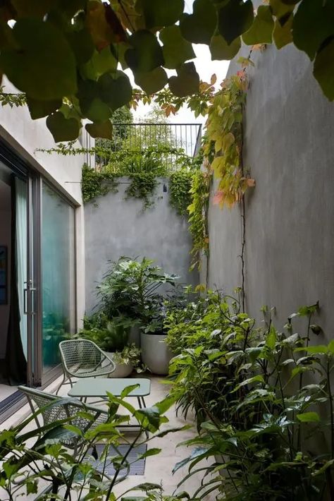 a tiny contemporary backyard filled with greenery and trees, with just a table and two chairs to have a drink Small House Design With Garden, Indoor Small Garden, Interior Garden Architecture, Indoor Plant Design, Small Interior Garden, Small Building Design, Indoor House Garden, Indoor Courtyard Garden, Small Courtyard Design