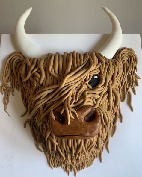 Highland Cow Pull Apart Cupcake Cake, Hi Land Cow Cake, Highland Cow Sheet Cake, Highland Cake, Cow Smash Cake Boys, Highland Cow Cake Tutorial, Highland Cow Smash Cake, Hyland Cow Cake, Cow Cake Ideas