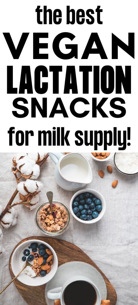 Vegan Breastfeeding Snacks For Milk Supply | Milk Dust Breastfeeding Protein Powder Vegan Postpartum Recipes, Vegan Lactation Recipes, Vegan Pregnancy Meal Plan, Labor Plan, Vegan Pregnancy Meals, Bf Tips, Breastmilk Recipes, Vegan Munchies, Diet For Breastfeeding Moms