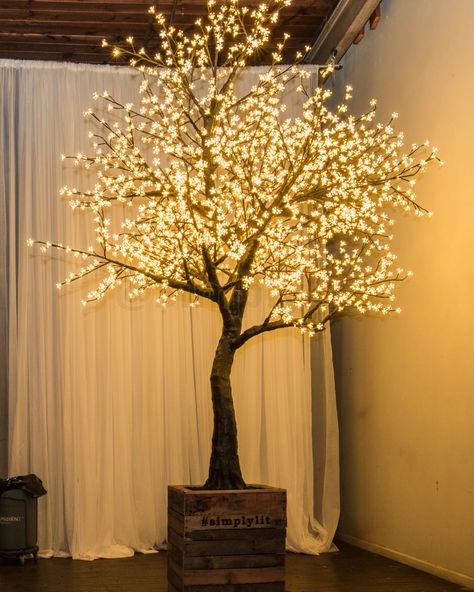 A warm white LED Cherry tree setup at a fake wedding in Atlanta, GA. There was definitely a line of selfie-takers in front of the tree. Plan Dressing, Outdoor Tree Lighting, Artificial Cherry Blossom Tree, Fairy Lights In Trees, Dressing Room Design Small Space, Tree Branch Decor, Dry Tree, Simple Dressing, Light Up Tree