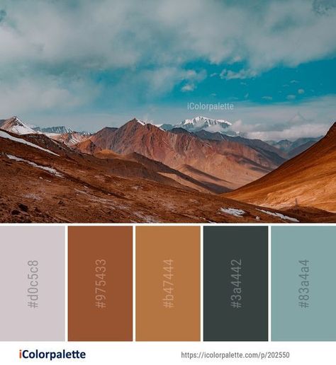 Color Palette Ideas, Sky Images, Desert Colors, Color Schemes Colour Palettes, Palette Ideas, Brand Color Palette, Design Seeds, Color Palette Design, Colour Schemes