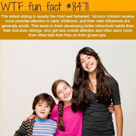 WTF Facts : funny, interesting & weird facts Eldest Sibling, Oldest Sibling, Creepy Facts, Wow Facts, Did You Know Facts, Older Sister, In Your Face, Science Facts, True Facts