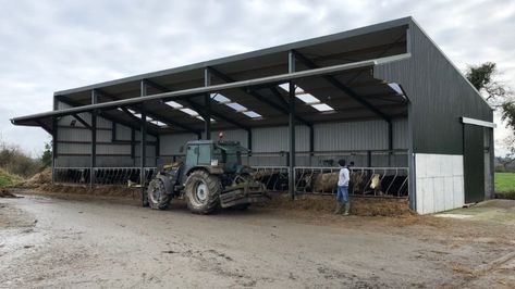 Buildings focus: A simple system made easier with the help of a 5-bay slatted shed - Agriland.ie Cattle Shed, Cattle Barn, Farm Shed, Roof Overhang, Homestead Farm, Pole Barns, Barn Plans, New Farm, Pole Barn