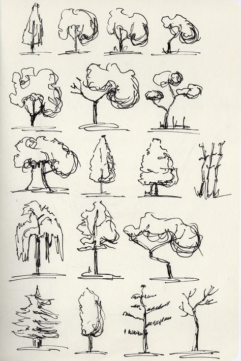 Bush Drawing Tutorial, Tree Doodle Drawing, 2d Tree Design, Starting To Draw, Learn How To Sketch, Trees Drawing Reference, Tips For Sketching, Simple Tree Sketch, Simple Urban Sketching