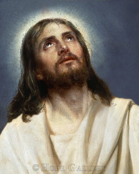 Jesus Our Savior, Life Of Christ, Religious Pictures, Jesus Christ Art, Pictures Of Jesus Christ, Jesus Face, In Christ Alone, Jesus Christ Images, Biblical Art