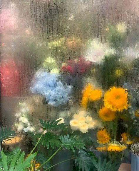 may on X: "Flower shops on a rainy day https://t.co/by2aub3YGD" / X Rainy Flowers, Rainy Aesthetic, Rainy Window, Rainy Spring, Healing Era, Blur Photography, Cute Twitter Headers, Stargazer Lily, Ghibli Artwork