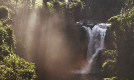 Waterfall Gif, Nature Gifs, Ann Street Studio, The Perfect Guy, Beautiful Gif, Nature Gif, Beautiful Waterfalls, Aesthetic Gif, Best Photographers