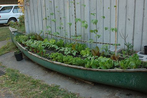 Amazing reuse of an old canoe as a raised garden bed    {great idea for the section by the steps...get a couple old oars to hang windchimes or something from! yea} Practical Garden, Vegetable Planters, Upcycle Garden, Garden Fun, Grow Vegetables, Garden Area, Veg Garden, Secret Gardens, Have Inspiration