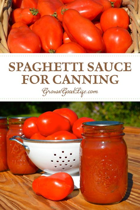 Canning Homemade Spaghetti Sauce With Fresh Tomatoes, Pressure Canning Tomato Sauce Recipes, Ball Tomato Sauce Canning Recipe, Roasted Pasta Sauce For Canning, Large Batch Spaghetti Sauce For Canning, Spaghetti Sauce From Fresh Tomatoes Canning, Ball Canning Recipes Tomatoes, Home Canned Spaghetti Sauce, Canning Spaghetti Sauce Recipes Easy