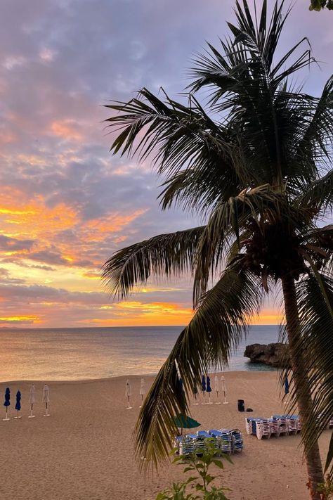 A purple, yellow, and orange tropical sunset framed by a palm tree and the ocean. This beach is much more quiet than the nearby Sosua beach Sosua, Tropical Sunset, Dominican Republic, Palm Tree, The Ocean, Palm Trees, Trip Advisor, Travel Photography, Need To Know