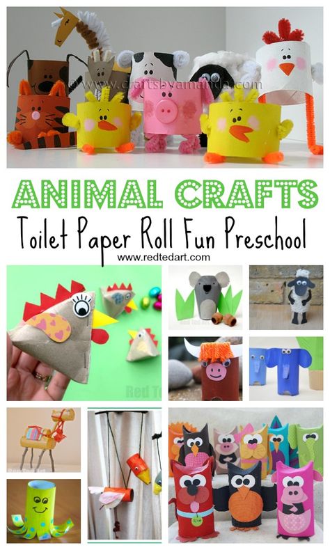 A roundup of the best animal crafts all made from toilet paper! Great ideas for crafts for preschoolers! #preschool #craftsforkids Toilet Paper Roll Diy, Paper Roll Crafts Diy, Animal Crafts Preschool, Animals Crafts, Abc Crafts, Red Ted Art, Recycled Crafts Kids, Elephant Crafts, Toilet Roll Craft