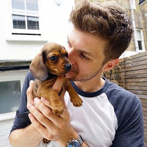 Jim Chapman and Martha She Is My World, Jim Chapman, Mens Hair Trends, Getting A Puppy, Miniature Dachshund, A Puppy, New Puppy, My World, Dachshund