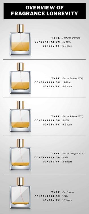 Cologne vs Perfume: What's the Difference? Fragrance FAQs | Dapper Confidential Vs Perfume, Perfume Collection Display, Perfume Storage, Perfume Display, Perfume Recipes, Fragrances Perfume Woman, Perfume Photography, Long Lasting Perfume, Perfume Packaging