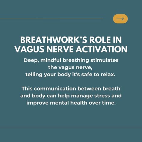 Last week, we spoke about polyvagal theory and the three states of the nervous system. This week, we’re diving deeper into the magic of our bodies, focusing on the vagus nerve and how it can transform your mental health through breathwork. 🌿✨  The vagus nerve is like your body’s built-in reset button. Running from your brain down through your body, it’s responsible for regulating crucial functions like your heart rate, digestion, and stress responses. When you activate this nerve, you can shi... Polyvagal Theory, The Vagus Nerve, Vagus Nerve, Reset Button, The Nervous System, Improve Mental Health, Your Brain, Nerve, Heart Rate