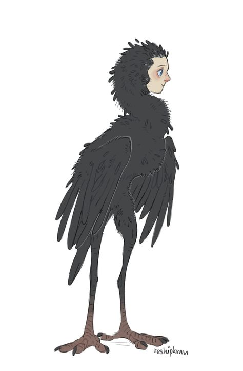 Bird Hybrid, Cute Moth, Bird People, Hybrid Art, Animation Art Sketches, Creature Artwork, Art Costume, Monster Concept Art, Magical Creatures