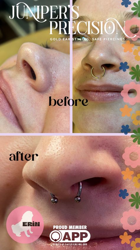 This client came in with a septum piercing from somewhere else that was done way too low. We. fixed it up and now it can be tucked inside their nose! Piercing Myself, Septum Piercing Healing Process, Nose Spectrum Piercing, Septum Piercing Flipped Up, Piercing Memes Funny, Septum Piercing, Fix It, Then And Now, Piercings