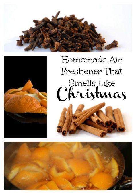 Boil Orange Peels, Orange Peels Uses, Smells Like Christmas, Homemade Potpourri, Simmer Pot Recipes, Diy Cinnamon, Homemade Air Freshener, Potpourri Recipes, Orange Peels