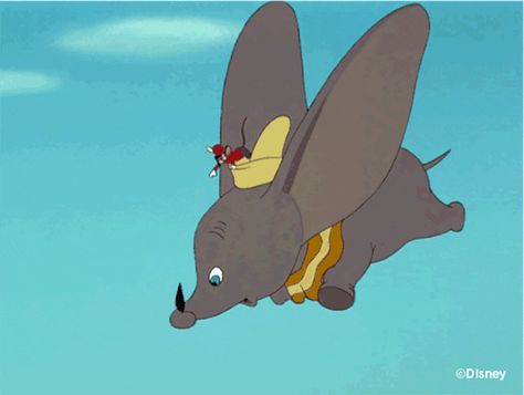 53 Thoughts on a Disney Vacation Dumbo 1941, Bill Peet, Elephant Gif, Dumbo Disney, Disney Gifs, Flying Elephant, Disney Gif, Space Mountain, Disney Lover