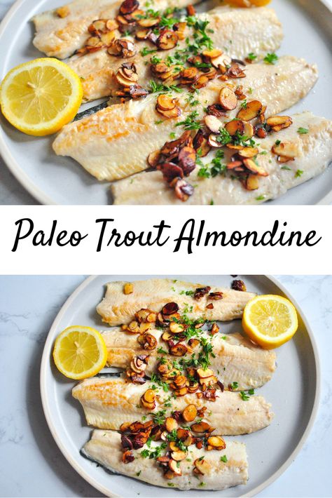 Paleo Trout Recipes, Being Boring, Autoimmune Paleo Recipes, Trout Recipes, Autoimmune Paleo, White Fish, Keto Lifestyle, Healthy Dinners, Sea Food