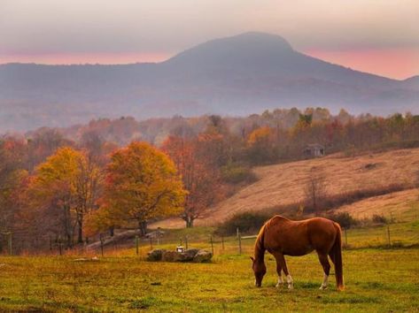 Top Adventure Towns Itinerary for Virginia - Floyd, Roanoke, Bedford, Charlottesville | Winners of the Blue Ridge Outdoors Top Adventure Towns Contest Floyd Virginia, Bedford Falls, Smith Mountain Lake, Mountain Photos, Water Adventure, Charlottesville Va, Air Balloon Rides, Perfect Itinerary, Road Trip Itinerary