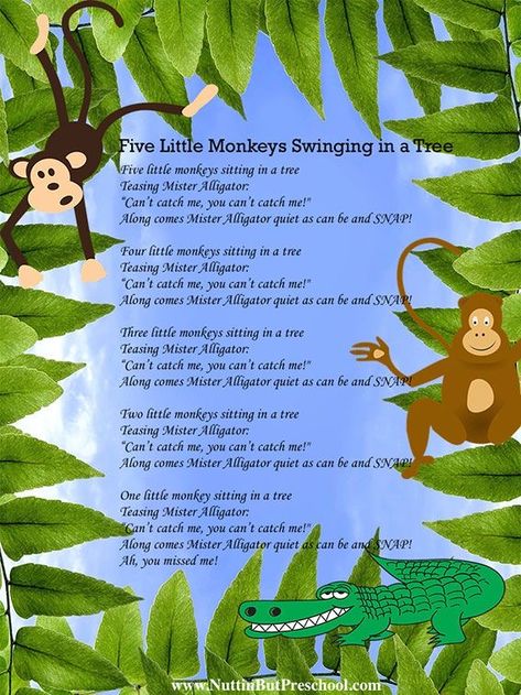 Rainforest Song, Monkeys Swinging In A Tree, Preschool Rainforest, Rainforest Preschool, Preschool Jungle, Rainforest Activities, Zoo Preschool, Me Preschool Theme, Animal Lessons