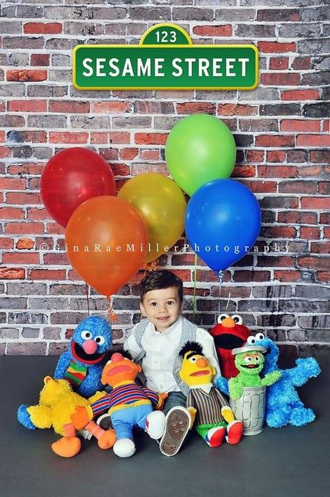 Sesame Street Photo Shoot, Street Photo Shoot, Sesame Street Birthday Party Ideas Boy, Elmo Birthday Party Boy, Ernie Und Bert, Elmo Birthday Party, Second Birthday Ideas, Sesame Street Birthday Party, Elmo Party