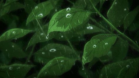 tumblr_oh7wj6nV3x1vysie1o1_500.gif (500×281) The Garden Of Words, Gif Background, Toro Inoue, Animated Banners, Dark Green Aesthetic, Green Theme, Green Nature, Nature Gif, Animation Background