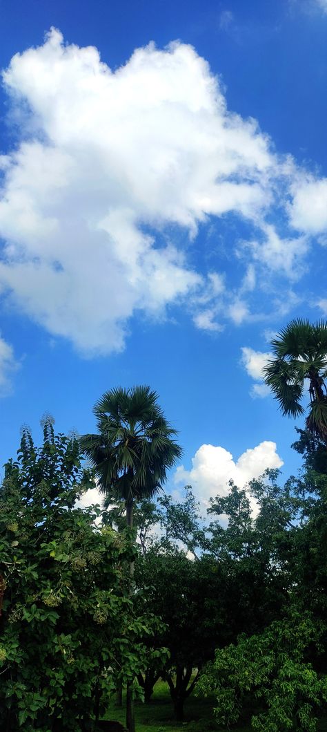 Greenry And Blue Sky With Clouds Sky Pictures Real Life, Blue Sky With Clouds, Blue Sky Photography, Sky With Clouds, Hair Inspiration Long, Sky Photo, Chill Photos, Sky Pictures, Sky Photos