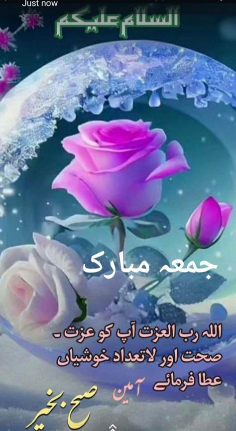 Jumma Mubarak Image, Jumma Mubarak Messages, Juma Mubarak Images, Jumah Mubarak, Juma Mubarak, Good Day Messages, Jumma Mubarak Images, Funny Animals With Captions, Good Morning Flowers Quotes