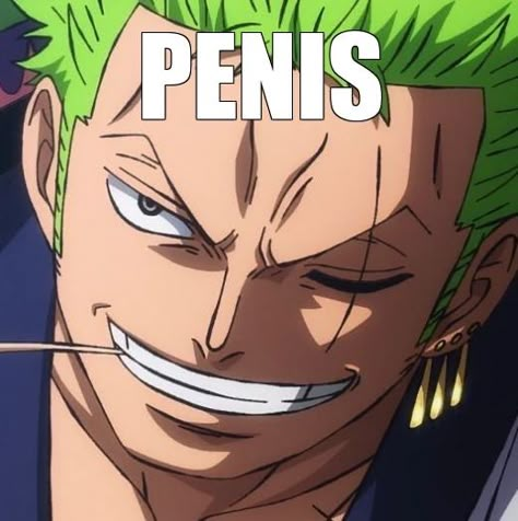 Zoro Meme, One Piece Memes Funny, Funny One Piece, رورونوا زورو, Zoro Roronoa, One Piece Meme, The One Piece Is Real, One Piece Stuff, One Piece Is Real