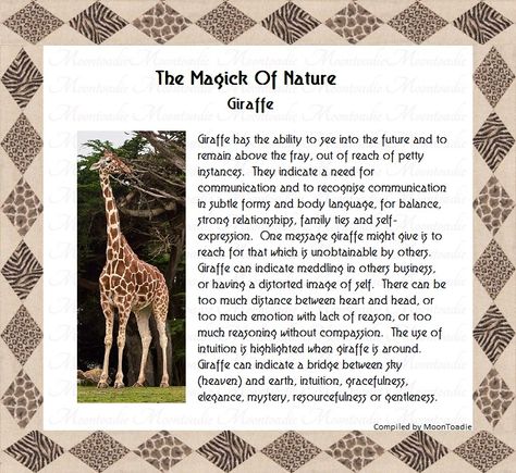 Giraffe Spirit Animal, Giraffe Spirit Animal Meaning, Giraffe Symbolism, Giraffe Meaning, Native American Zodiac, Spirit Animal Meaning, Totem Animals, Animal Meanings, Witch Board