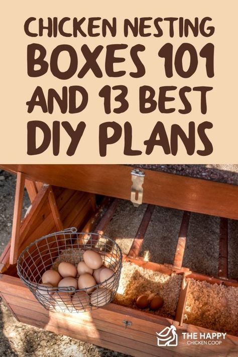 Chicken Laying Boxes, Nesting Boxes Diy, Chicken Coop Designs Diy, Chicken Boxes, Best Diy Projects, Chicken Poop, Chicken Nesting Boxes, Backyard Chicken Coop Plans, Diy Chicken Coop Plans