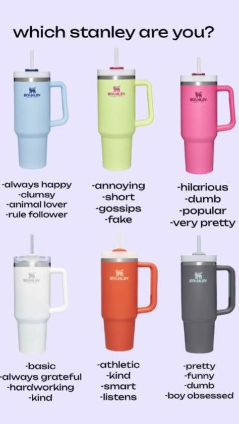 #whichstanleyareyou!! Stanley Products, Best Friend Quiz, Trendy Water Bottles, Preppy Gifts, Fun Sleepover Ideas, Sleepover Things To Do, Leyte, Stanley Quencher, Birthday List