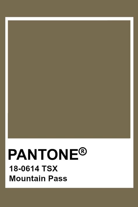 Pantone Mountain Pass Khaki Pantone, Brown Pantone, Pantone Green, Brand Identity Colors, Pantone Color Chart, Pantone Swatches, Interior Design Template, Bedroom Colour Palette, Pantone Colour Palettes