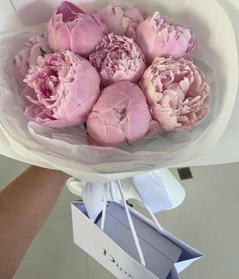 𓃭 on Twitter: "Peonies… " Magnolia Bouquet, Virtual Flowers, Boquette Flowers, Flowers Bouquet Gift, Spotify Apple, Flower Therapy, Peonies Bouquet, Beautiful Bouquet Of Flowers, Young Thug