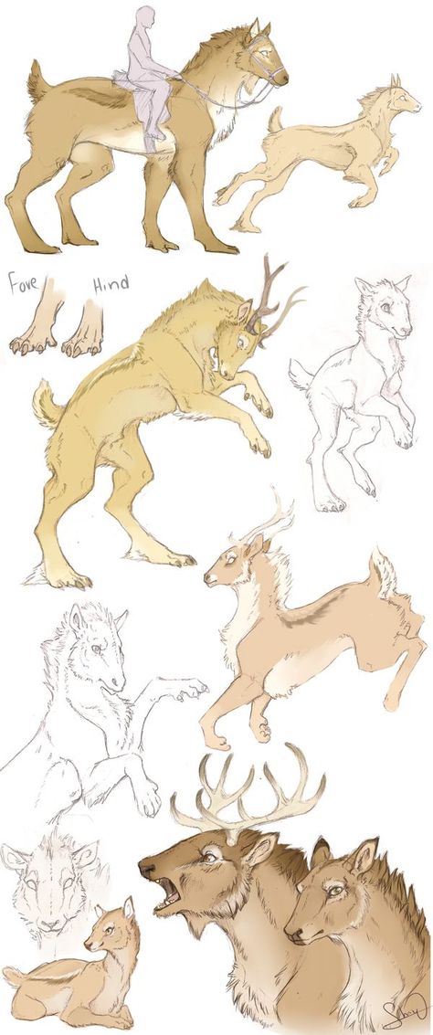 Sawaas by Yuwof.deviantart.com on @deviantART: Deer Hybrid, Mythical Animal, Fantasy Beasts, Creature Drawings, Types Of Animals, Fantasy Creatures Art, Mythical Creatures Art, Mythological Creatures, Creature Concept Art