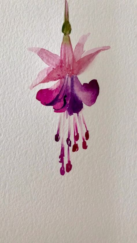 Easy freehand fuchsia. Love the flower and the colour both… | Instagram Watercolor Flowers Tutorial, Diy Watercolor Painting, Watercolor Painting Techniques, Watercolor Flower Art, Watercolor Art Lessons, Watercolor Flowers Paintings, Watercolour Tutorials, Flower Art Painting, Watercolor Techniques