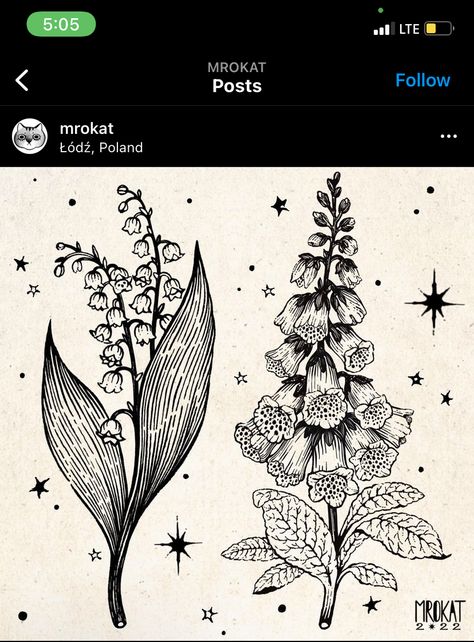 Toxic Plants, Woodcut Tattoo, Engraving Tattoo, Illustration Projects, Fantasy Tattoos, Moody Art, Folk Art Flowers, Engraving Illustration, Botanical Tattoo