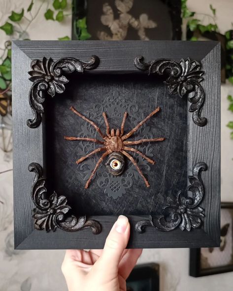 Tarantulas just landed in our shop! 👀 What are your favorites 1-10? www.tarantulabox.com @tarantulabox #tarantula #spider #oddities #eye #darkart #gothichome Tarantula Spider, Minsk Belarus, Insect Art, Gothic House, Frame Painting, Minsk, Gothic Art, Belarus, Taxidermy