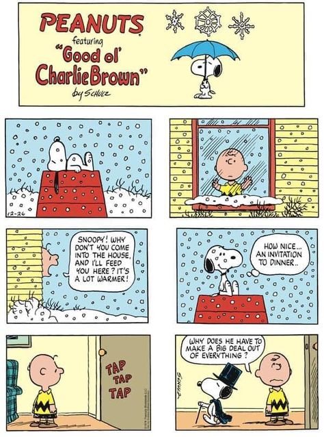 Schroeder Peanuts, Charlie Brown Dog, Peanuts Snoopy Comics, Charlie Brown Comics, Peanuts Charlie Brown Snoopy, Snoopy Collectibles, Snoopy Comics, Peppermint Patty, Snoopy Cartoon